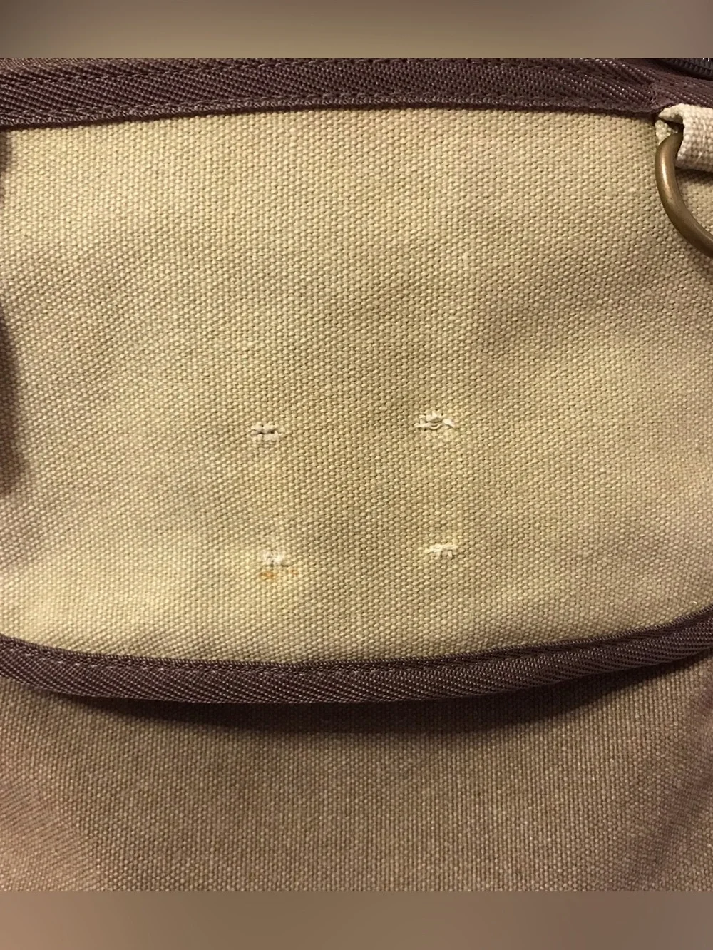 SCRUFFY DOG Canvas Messenger Bag